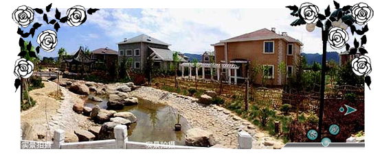 1647842566796113.jpg tyjy.jpg